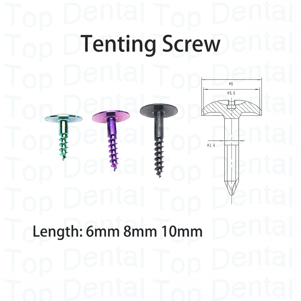 10pcs Dental GBR System Bone S - Stabilizer Screw In 评论和价格