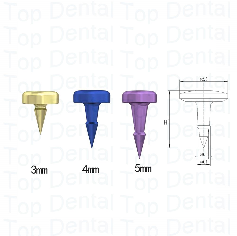 10pcs Dental GBR System Bone S - Stabilizer Screw In 评论和价格