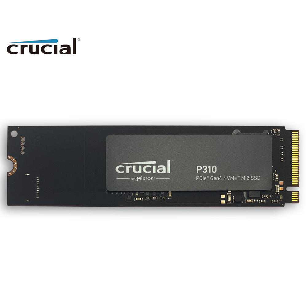 Crucial P310 1TB 2280 PCIe Gen - Samsung Ssd 980 Pro 评论和价格
