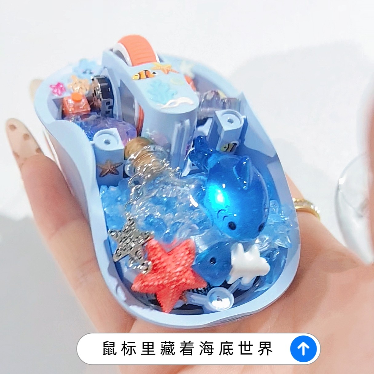 Whale/Starfish Handmade Transp - Keyboard Gaming Transparent 评论和价格